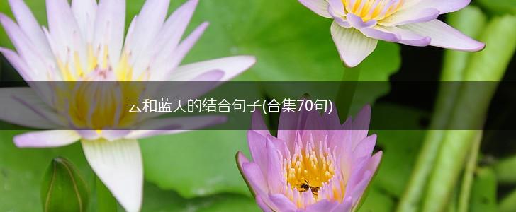 云和蓝天的结合句子(合集70句),第1张