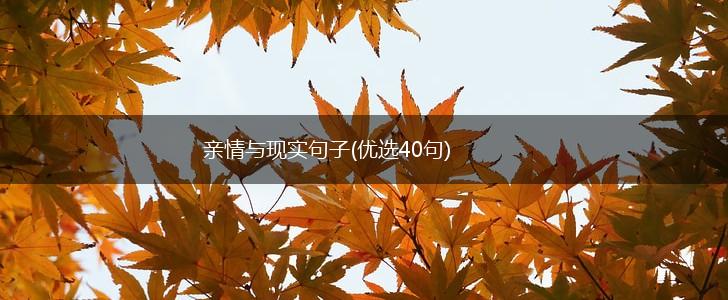 亲情与现实句子(优选40句),第1张