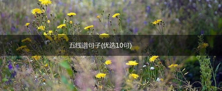 五线谱句子(优选10句),第1张