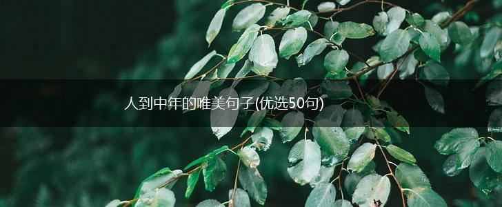 人到中年的唯美句子(优选50句),第1张