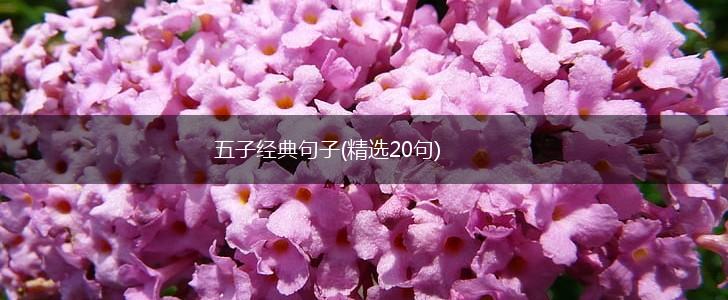 五子经典句子(精选20句),第1张