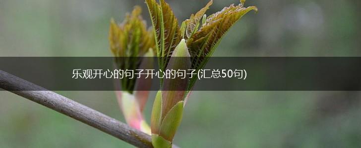 乐观开心的句子开心的句子(汇总50句),第1张
