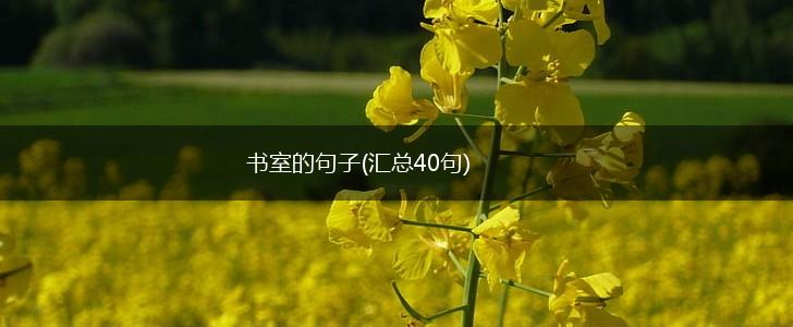 书室的句子(汇总40句),第1张