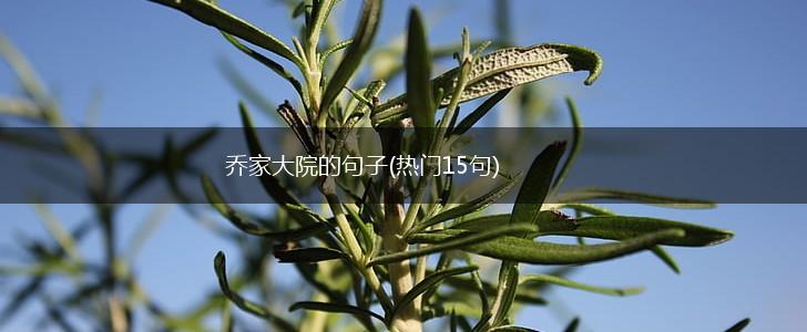 乔家大院的句子(热门15句),第1张