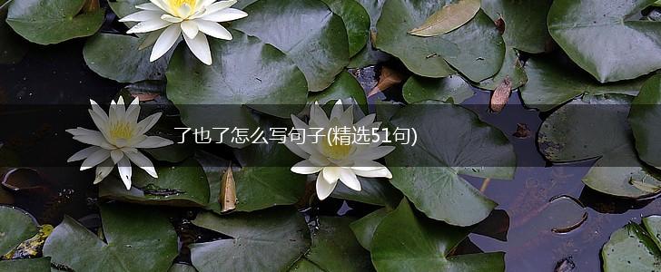了也了怎么写句子(精选51句),第1张