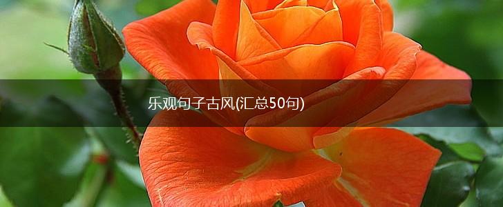 乐观句子古风(汇总50句),第1张