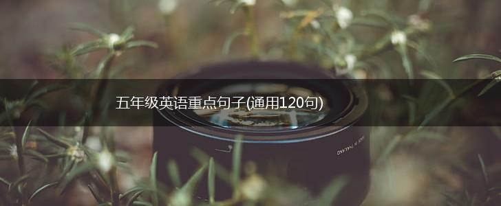 五年级英语重点句子(通用120句),第1张