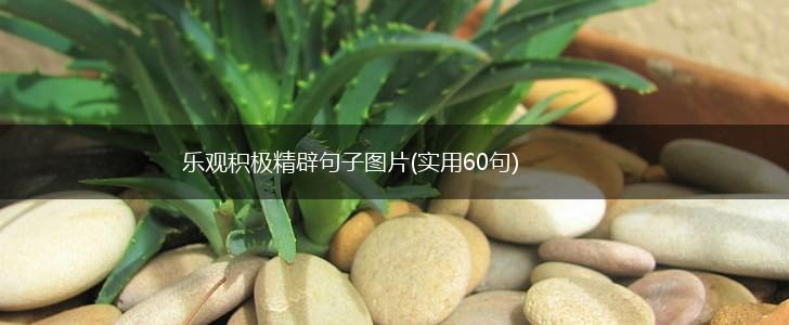 乐观积极精辟句子图片(实用60句),第1张