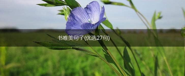 书唯美句子(优选27句),第1张