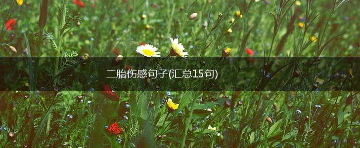 二胎伤感句子(汇总15句),第1张