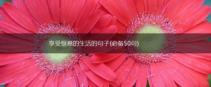 享受惬意的生活的句子(必备50句),第1张