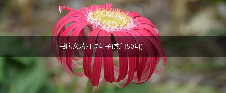书店文艺打卡句子(热门50句),第1张
