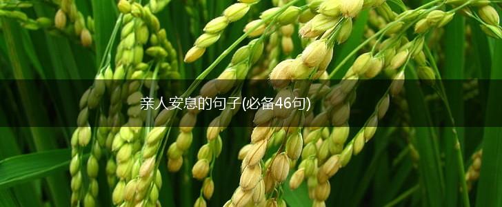 亲人安息的句子(必备46句),第1张