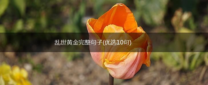 乱世黄金完整句子(优选10句),第1张