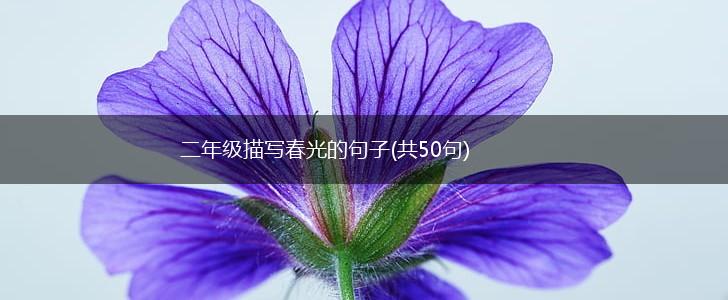 二年级描写春光的句子(共50句),第1张