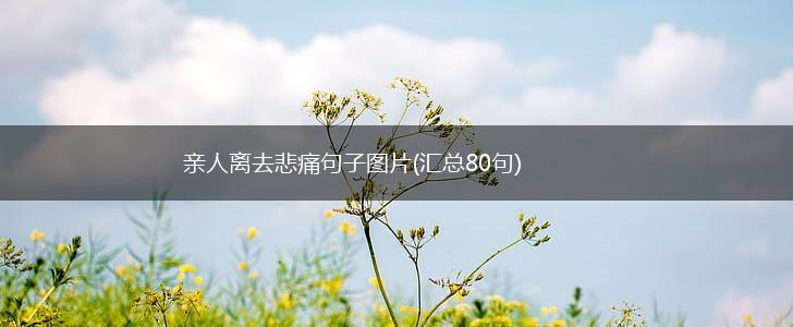亲人离去悲痛句子图片(汇总80句),第1张