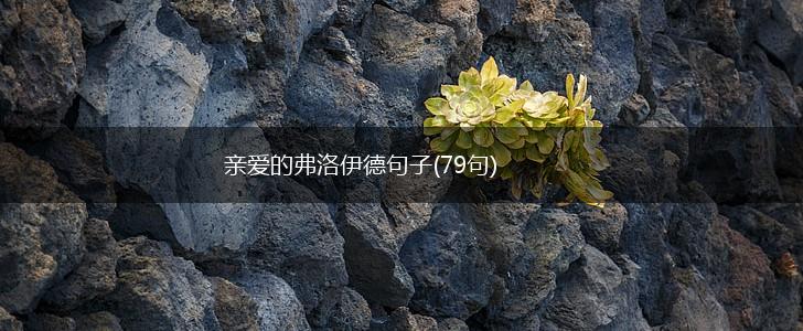 亲爱的弗洛伊德句子(79句),第1张