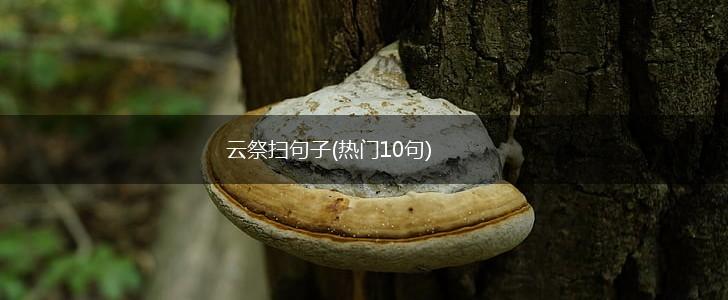 云祭扫句子(热门10句),第1张