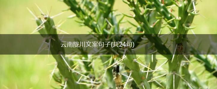 云南陇川文案句子(共24句),第1张