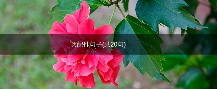 买配件句子(共20句),第1张
