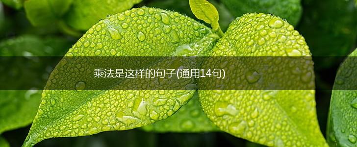 乘法是这样的句子(通用14句),第1张