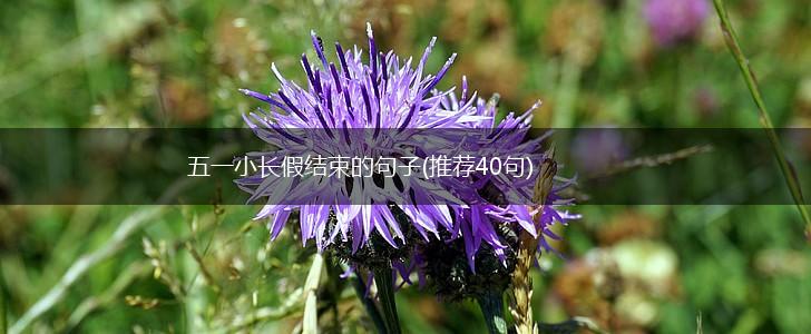 五一小长假结束的句子(推荐40句),第1张