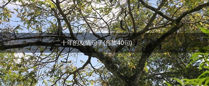 二十年的友情句子(合集40句),第1张