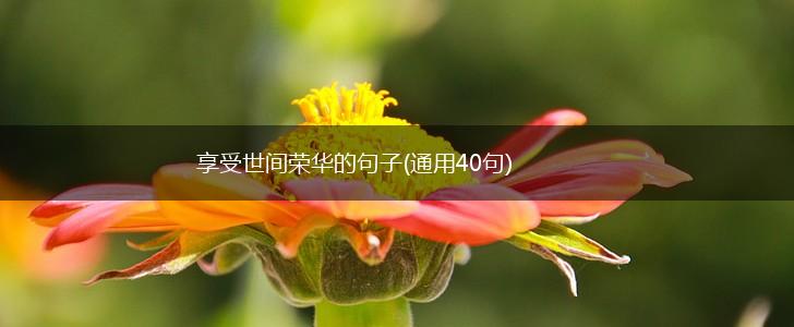 享受世间荣华的句子(通用40句),第1张