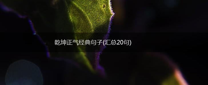 乾坤正气经典句子(汇总20句),第1张