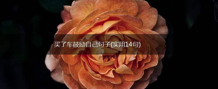 买了车鼓励自己句子(实用14句),第1张