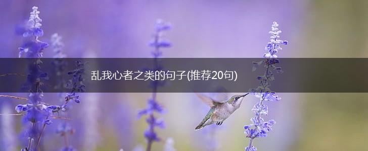 乱我心者之类的句子(推荐20句),第1张