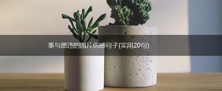 事与愿违的图片伤感句子(实用20句),第1张