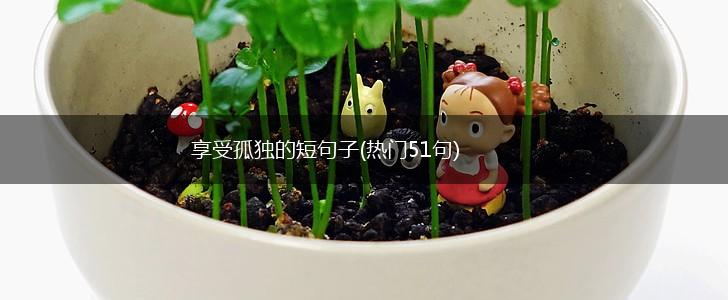 享受孤独的短句子(热门51句),第1张