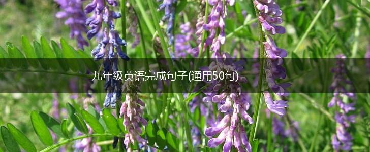九年级英语完成句子(通用50句),第1张