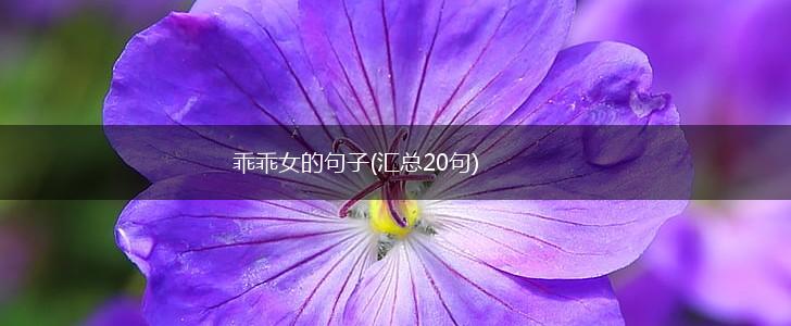 乖乖女的句子(汇总20句),第1张