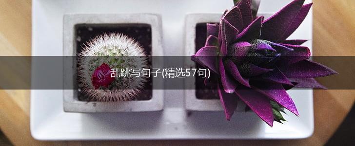 乱跳写句子(精选57句),第1张