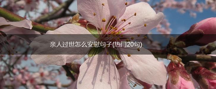亲人过世怎么安慰句子(热门20句),第1张