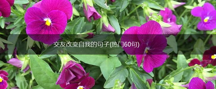 交友改变自我的句子(热门60句),第1张