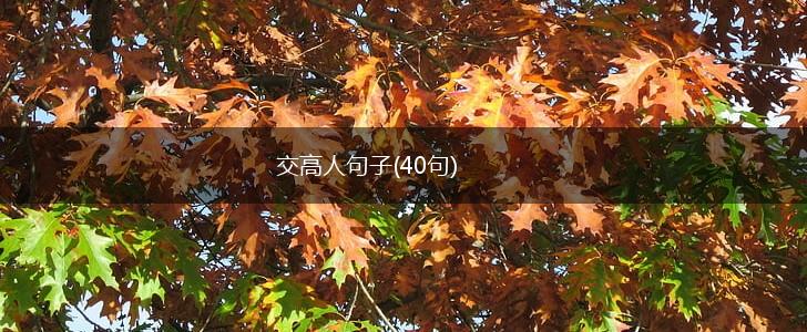 交高人句子(40句),第1张