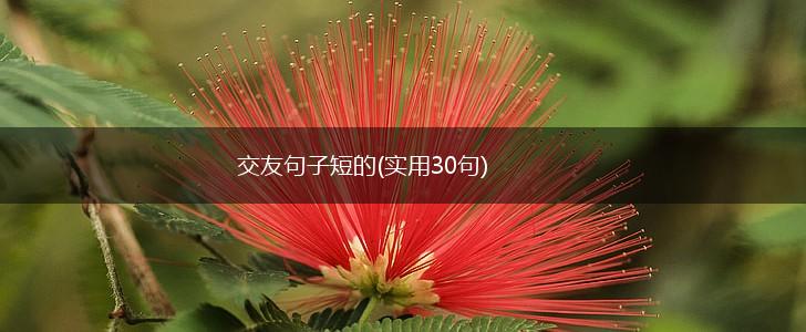 交友句子短的(实用30句),第1张