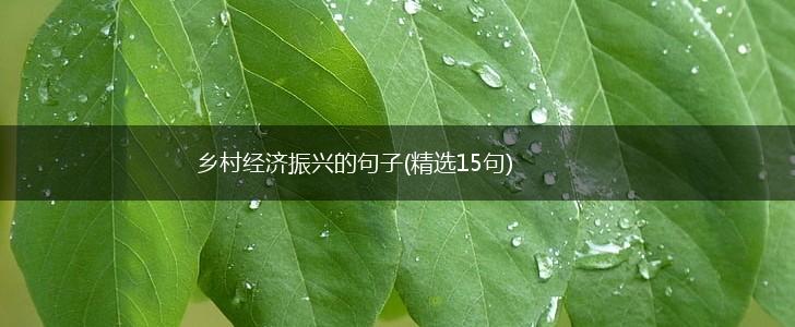 乡村经济振兴的句子(精选15句),第1张
