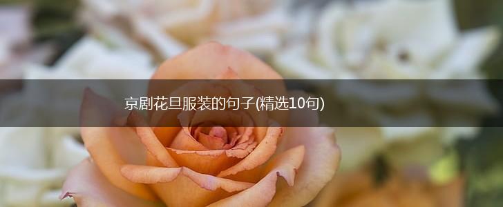 京剧花旦服装的句子(精选10句),第1张