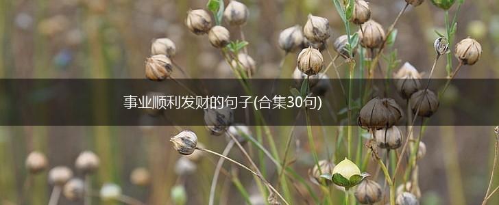 事业顺利发财的句子(合集30句),第1张