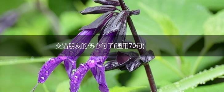 交错朋友的伤心句子(通用70句),第1张