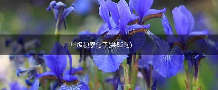 二年级积累句子(共52句),第1张