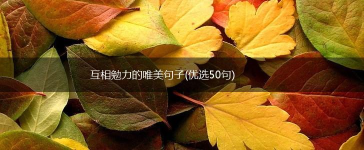 互相勉力的唯美句子(优选50句),第1张