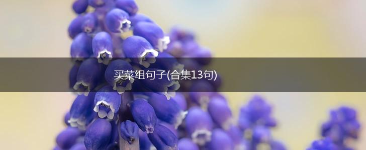 买菜组句子(合集13句),第1张