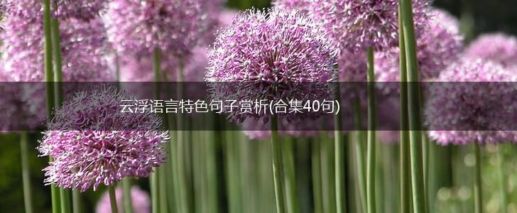 云浮语言特色句子赏析(合集40句),第1张