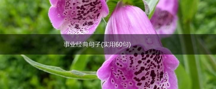 事业经典句子(实用60句),第1张