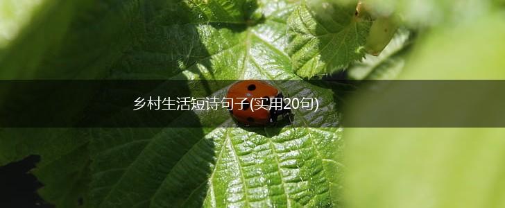乡村生活短诗句子(实用20句),第1张